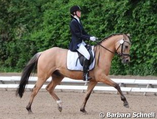 Der kleine Prints (by Don Joshi) needs to develop more muscle, but he his finally manageable enough for his owner Tatjana Hoffmann to steer him peacefully through a test