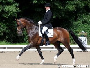 Werth's in-house rider Matthias Bouten on Flatley