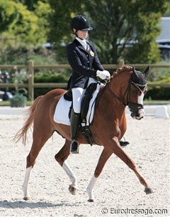 U.S. born Belgian pony rider Alexa Faircild on Neervelds Blamoer