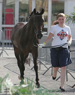 Polish Ania Jedrzejczyck presenting Epiascer at the vet inspection