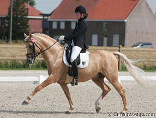 Katharina Weychert on Golden Derano C