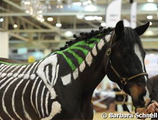 So many seminars are held at Equitana. This one is about equine physiotherapy and chiropractics