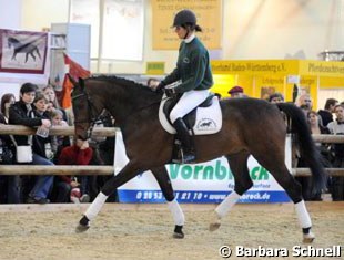 A rider demonstrating that basic dressage can be ridden in a show jumping saddle.