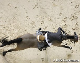 Hoof prints in the sand :: Photo © Dirk Caremans/Christophe Bricot