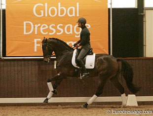 Steffen Peters on the 3-year old mare TC Beau Deux (by Ravel x Gouverneur)