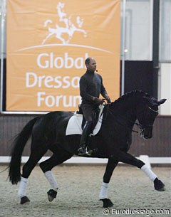 Steffen Peters aboard Toots (by Jazz)