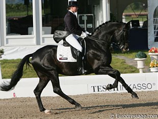 What a canter!! Insterburg TSF