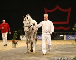 A colt being presented on hard surface at the 2009 Danish Warmblood Stallion Licensing in Herning :: Photo © Ridehesten.com