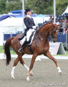 Adelinde Cornelissen on Parzival