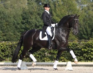 Edward Gal and San Remo (by Wolkentanz I x Volturno x Azur) :: Photo courtesy Uytert.nl