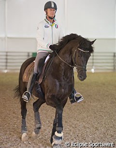 Edward Gal has brought Dutch stallion Wynton (by Jazz) for a young horse demo. Gal is the only rider training his horse with a helmet!