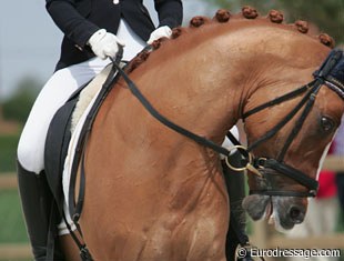 No no, not the way to go at a show! German Theresa Bausch was pulling her Dornik Double from left to right while travelling the ring.