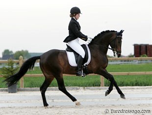 Polish Anna Jedrzejczyk and her gorgeous Belgian riding pony Epiascer. He's a hot cracker and it's keeping the lid on the cooker with him, but he's got great movements.