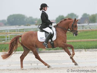 Dutch Romy Bemelmans on Vinkenhove Lester (by Pionier's Baltazar X Vinkenhove Fallon). This pony was proclaimed Dutch Welsh Sport Pony of the Year 2008.