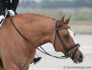 Nynne Ebbenaes' Proud Don Caruso