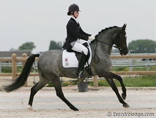 A new bridle, a new pony. Luxembourg Michele Thill put a new noseband on her pony Virgil and he was much more with her, more balanced, more on the aids. Great development.