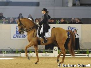 Carola Koppelmann on Holger Schmezer's Trakehner gelding Hinnerk