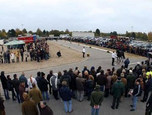 The Trakehner Stallion Licensing in Neumunster