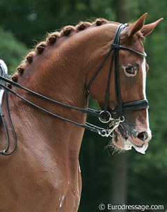 Twister.. what a great face!