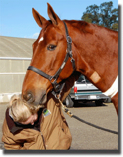 Debbie McDonald and her steady groom cuddling Brentina after her colic surgery