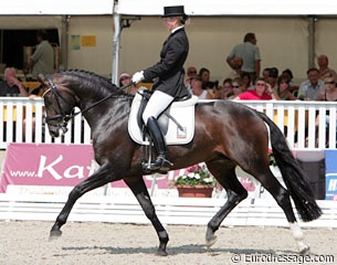 Norwegian born Isabel Bache on Bergerac at the 2009 World Young Horse Championships :: Photo © Astrid Appels