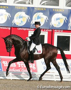 Anna Blomgren and Laetare at the 2009 World Young Horse Championships :: Photo © Astrid Appels