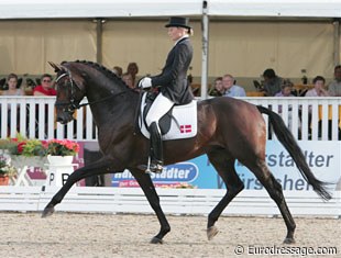 Anna Blomgren on Andreas Helgstrand's Laetare. This horse entered the competition via a wildcard. The German Equestrian Federation and Dutch/KNHS federation were both given one wild card. Germany chose Laetare, Holland Zimba