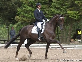 Andreas Helgstrand and Honnerups Driver at the Danish WCYH Selection Trial :: Photo © Ridehesten.com