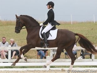 Lotte Skjaerbaek on Skoven Rafael at the Danish Young Horse Selection Trial :: Photo © Ridehesten.com