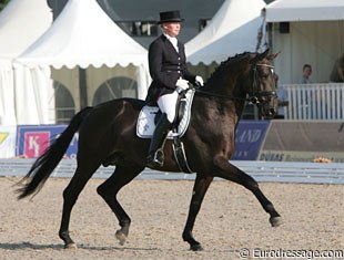 Malin Rinné with Scharmeur. The horse pushed himself high all the time and the contact with the bit was not ideal, even though this Schwadroneur offspring has good gaits.