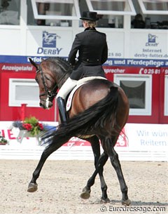 Swiss Nicole Heyser on the super trotting Swiss bred mare U.S. Latina (by Rubin Royal x Landjonker). Not only did she have unbelievable bounce in trot, but also a great potential to cross her legs in the traversal movements.