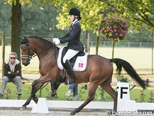 Nanna Skodborg Merrald on Centrum. This is the combination which should have won the class by far!!!