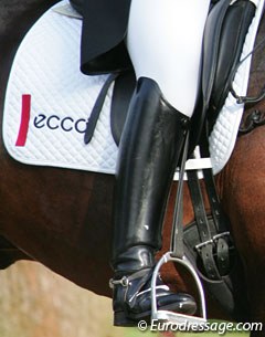 Ecco on a Danish saddle pad