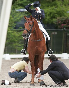 Camille Cheret Judet is getting ready for her ride on Mister Grand Champ