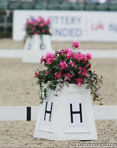 Arena letters at the 2009 European Championships :: Photo © Astrid Appels