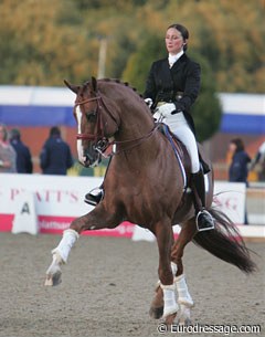 Minna Telde schooling Don Charly before the Grand Prix Kur at the 2009 European Championships