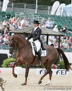 Tinne Vilhelmson on Favourit (by Fidermark x Worldchamp)