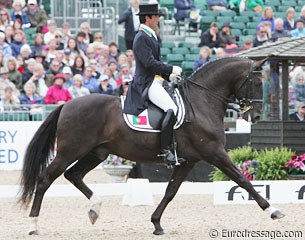 Daniel Pinto and Galopin de la Font at the 2009 European Championships :: Photo © Astrid Appels