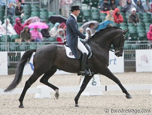 Belgian Stefan van Ingelgem on Bart van Malderen's Belgian warmblood licensed stallion Withney van 't Genthof (by Ferro).