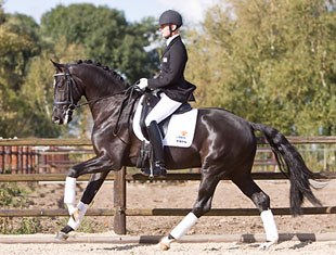 Theo Hanzon at home with the 4-year old Andretti (by Special D x Sandro Hit)