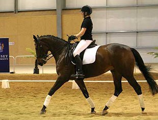 Hannah Appleton schooling "Grace" at her home equestrian facility at Massey University in New Zealand