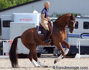 Anabel Balkenhol schooling her super star Dablino (by De Niro x Wanderbusch II)