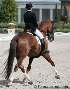 Balkenhol & Dablino were good but not great. The passage and piaffe were lovely and regular but judges were only willing to give 7s for them. The walk was tense and not so clear in rhythm and the change after the extended canter was in 2 phases.