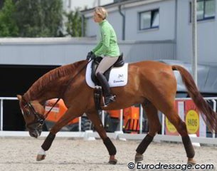 True relaxation in trot: Nadine Capellmann on Elvis VA