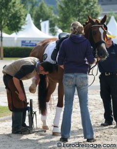 Belgian Julie de Deken won both Under 25 Grand Prix classes with Fazzino. Unfortunately the Westfalian pulled a shoe right before the prize giving and the organization had no time to wait for him to be part of the glorious ceremony. Pity