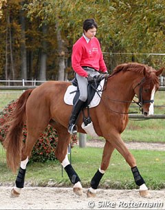 Catherine Henriquet warming up Paradieszauber. Always a very light contact with the bit