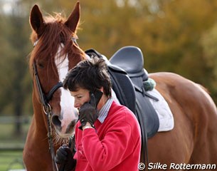 Paradieszauber waits patiently while his rider answers the phone