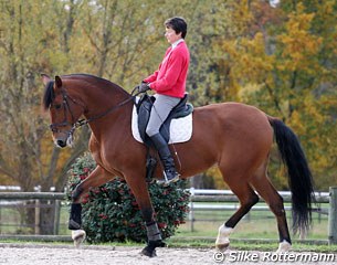 Catherine Henriquet on the Lusitano Vendaval