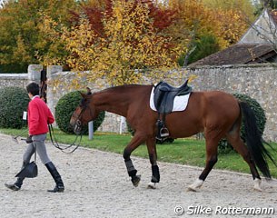 Catherine Henriquet makes sure the footing in the outdoor stays manure-free