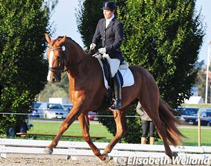 Antonella Joannou on Dandy de la Roche